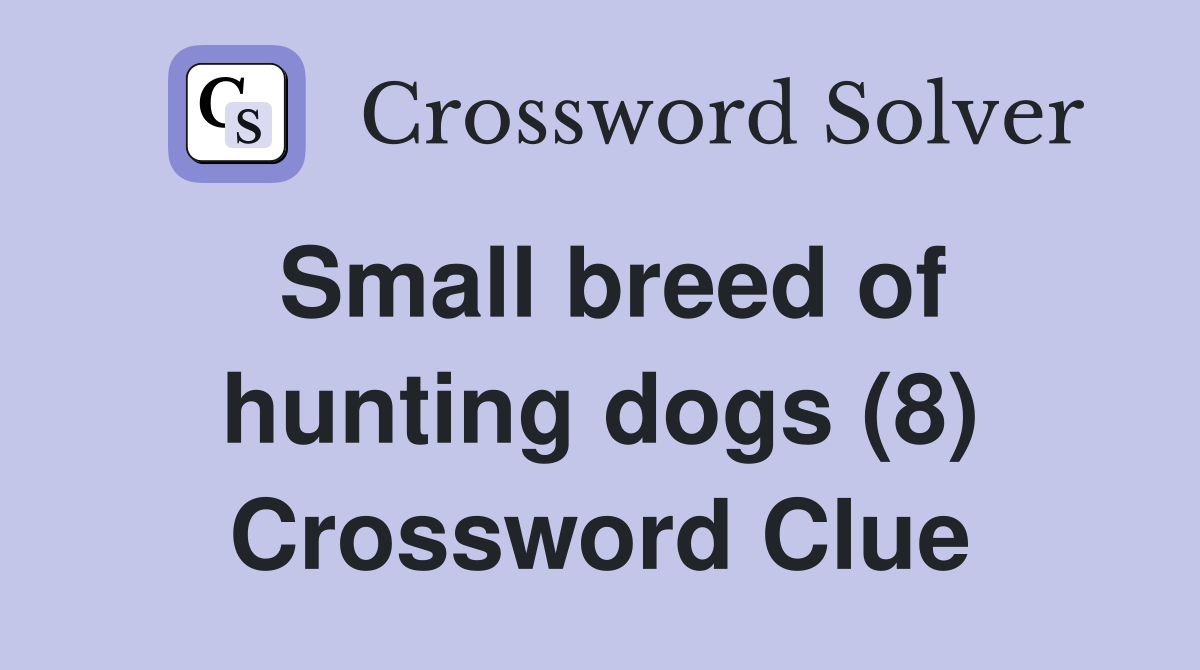 small-breed-of-hunting-dogs-8-crossword-clue-answers-crossword-solver